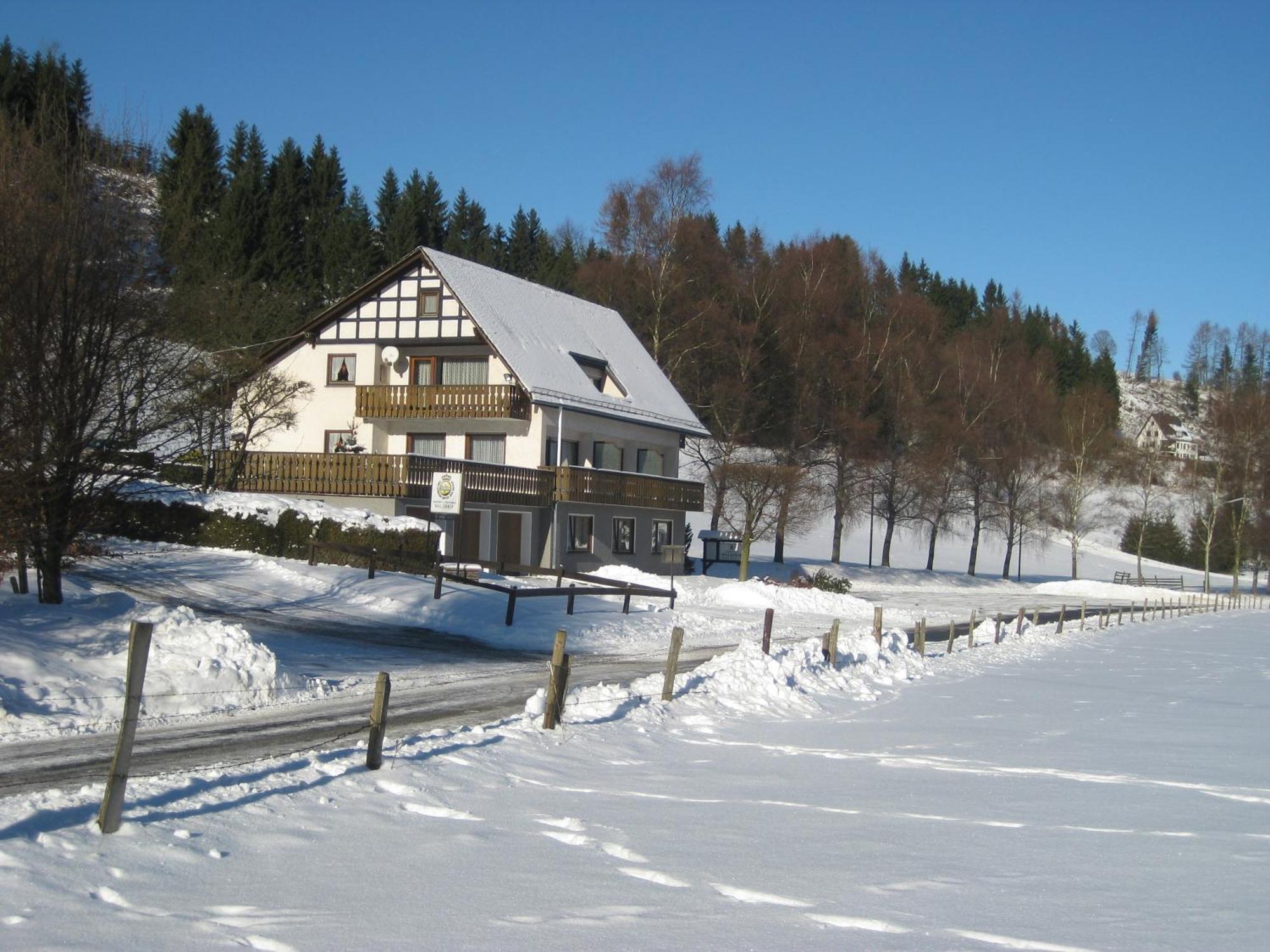 Pension-Gaestehaus Waldhof Winterberg Eksteriør billede