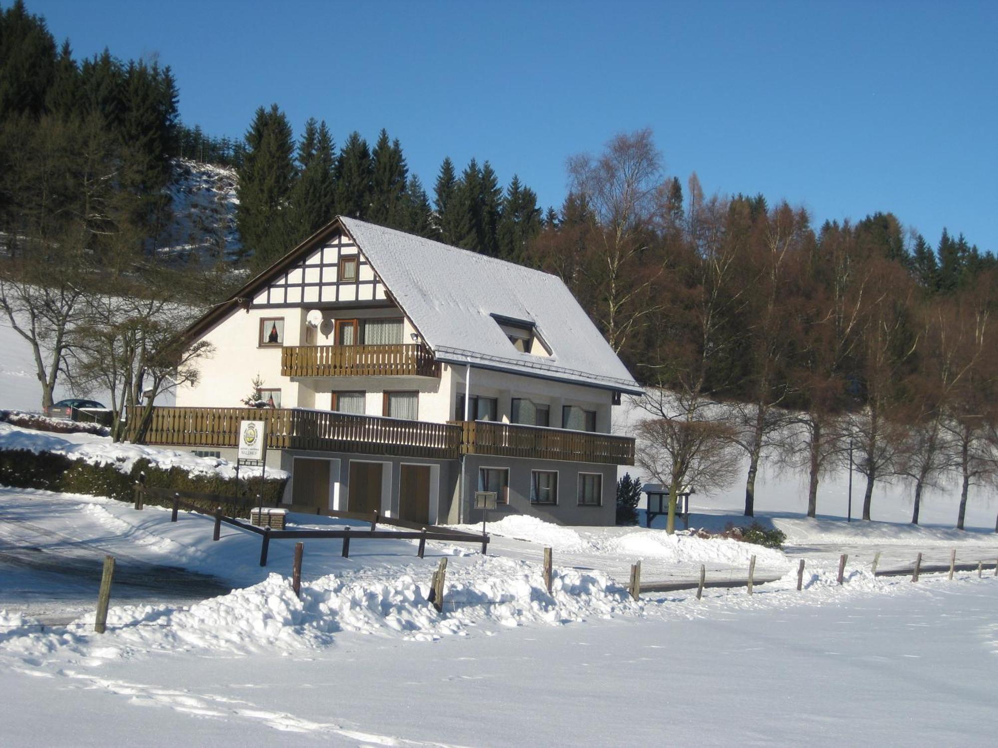 Pension-Gaestehaus Waldhof Winterberg Eksteriør billede