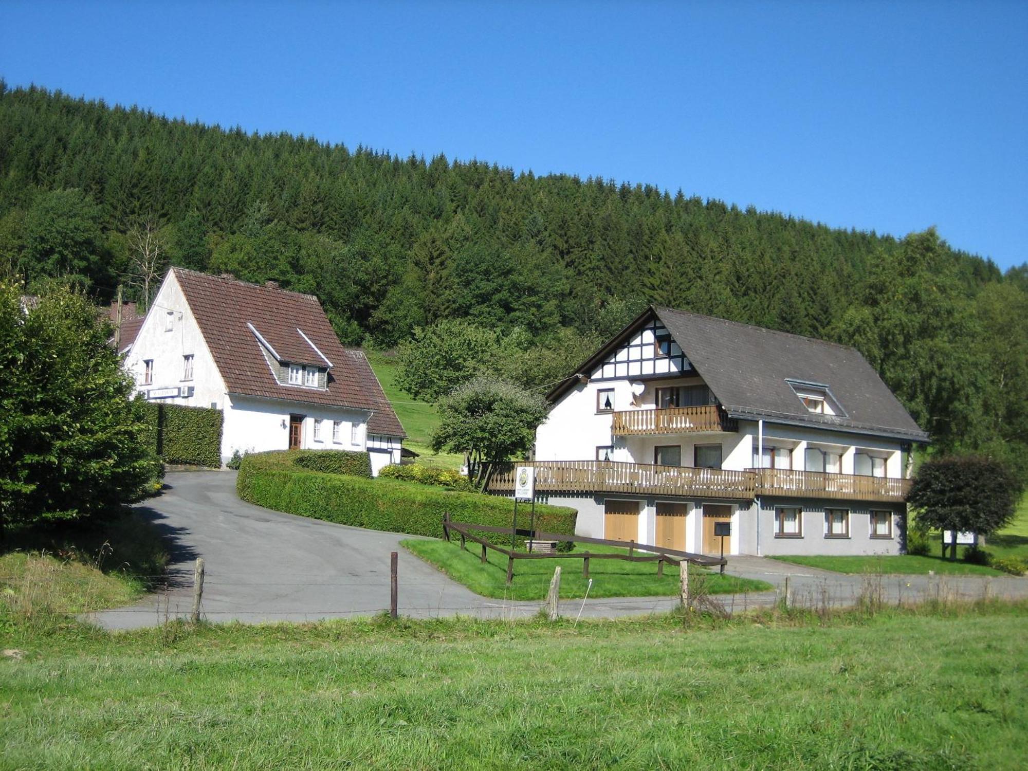 Pension-Gaestehaus Waldhof Winterberg Eksteriør billede